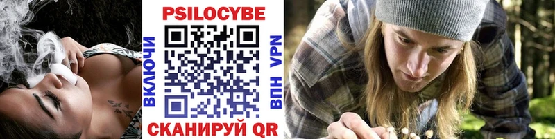 Галлюциногенные грибы Cubensis  shop состав  Калининск  MEGA ССЫЛКА 