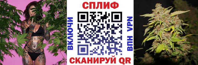 Каннабис Bruce Banner купить наркотики цена Калининск